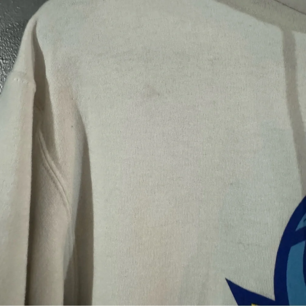 Vtg Mens M Champion Casanova Wildcats Pullover Graphic Print Hoodie NCAA 2 Sided